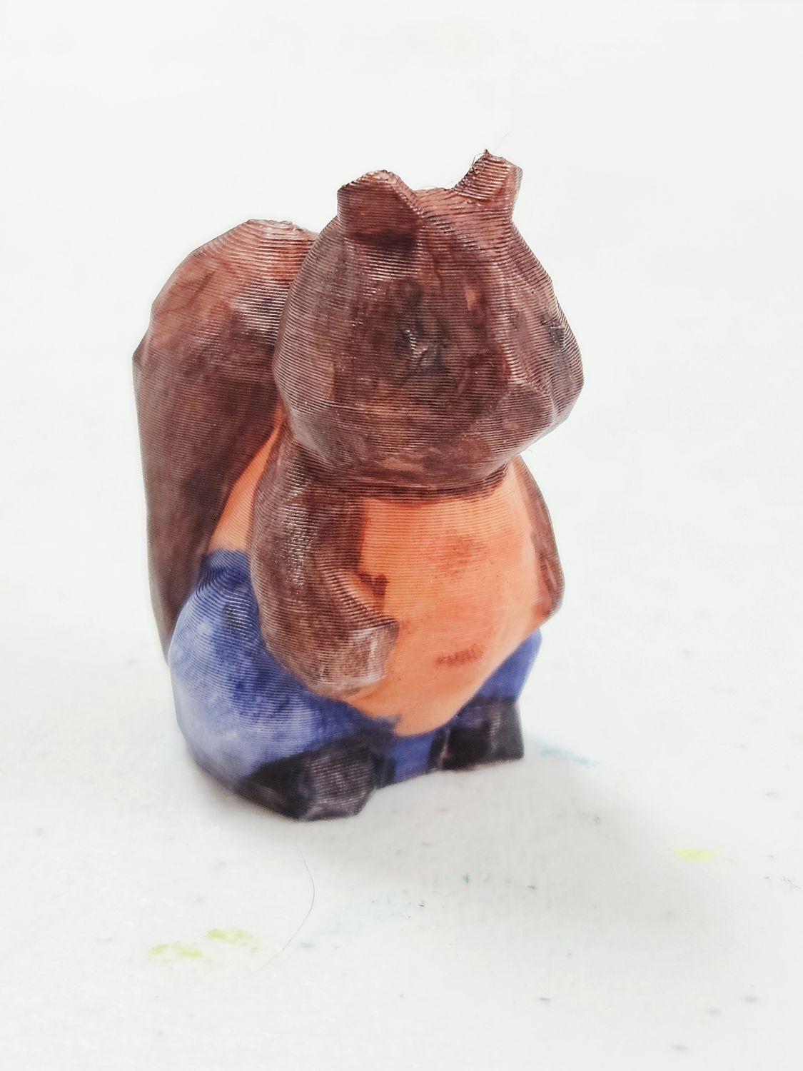 Squirell with a Shirt
