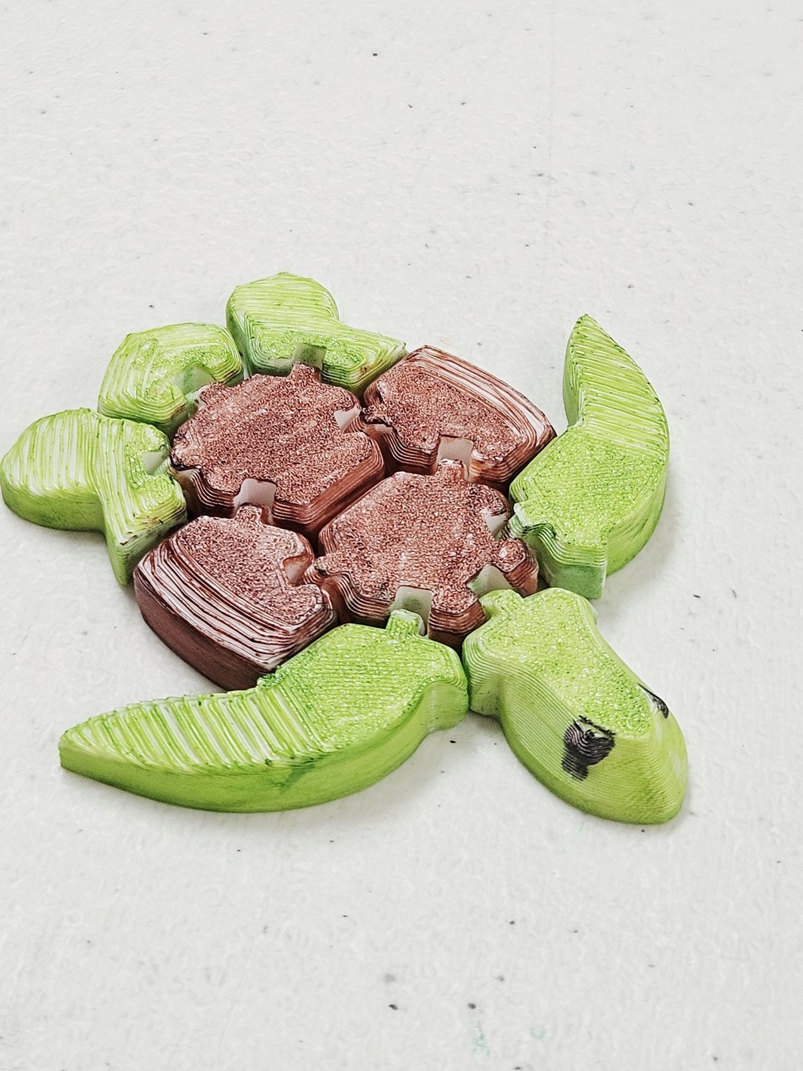 Articulated Turtle