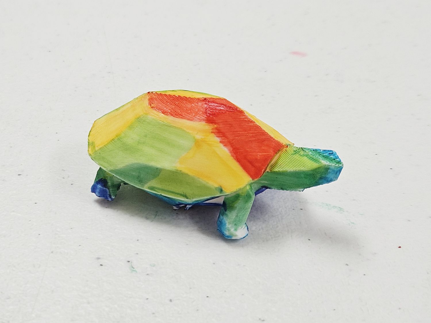 Rainbow Turtle