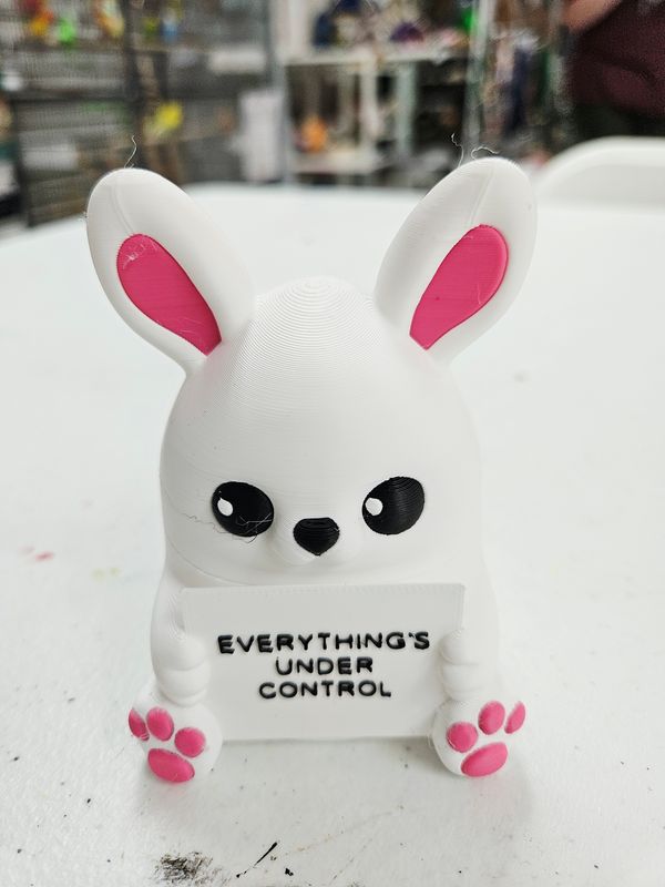 Rabbit Desk Buddy