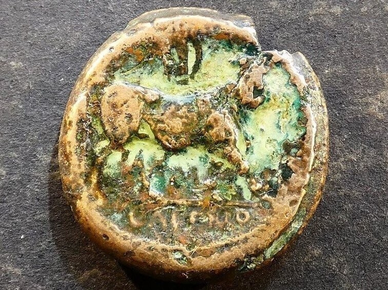 Italy, Campania, Cales, AE21, after 268BCE