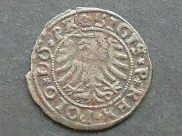 Poland (Elbing), Sigismund I Stary, Schilling, 1531