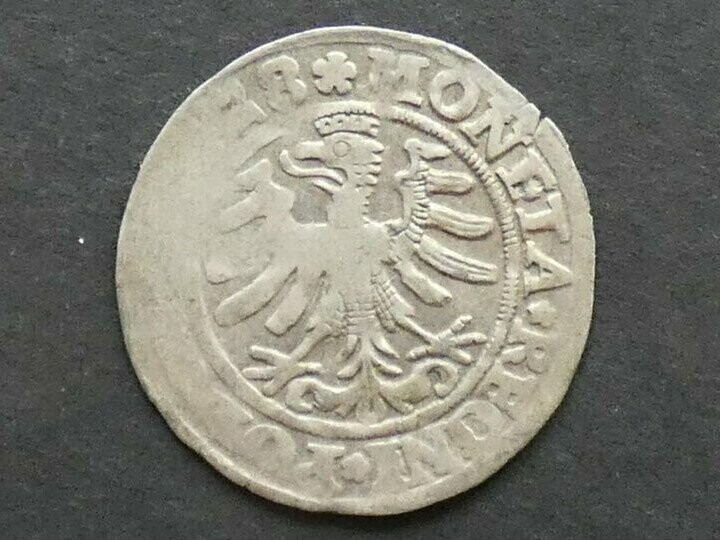 Poland, Sigismund I Stary, Groschen, 1528