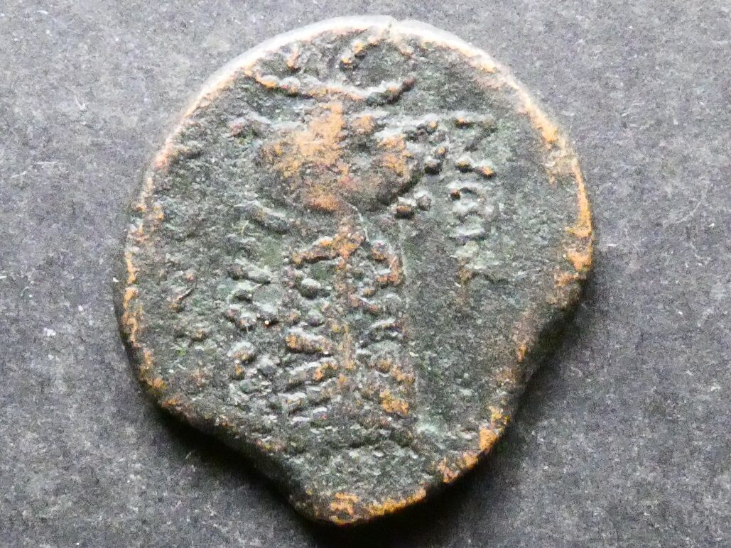 Celtic Gaul, the Longostaletae, AE24