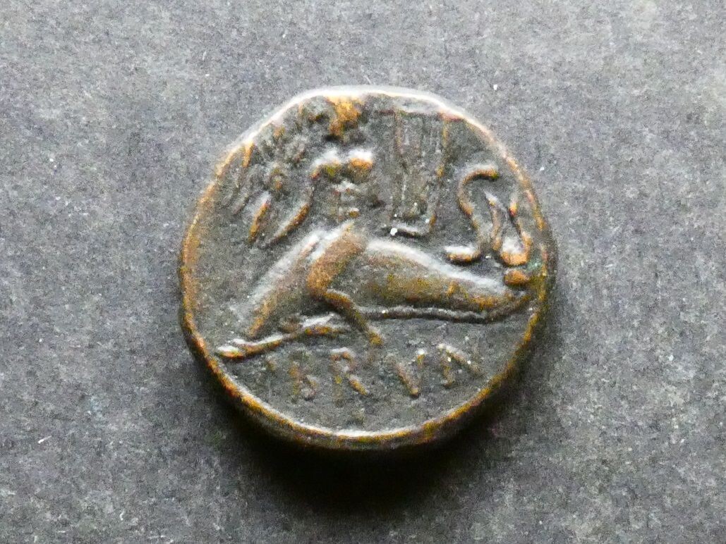 Italy, Calabria, Brundisium, AE18,