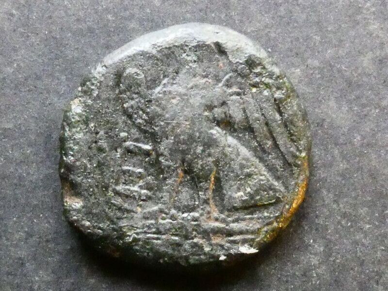 Italy, Apulia, Venusia, AE Quincunx,