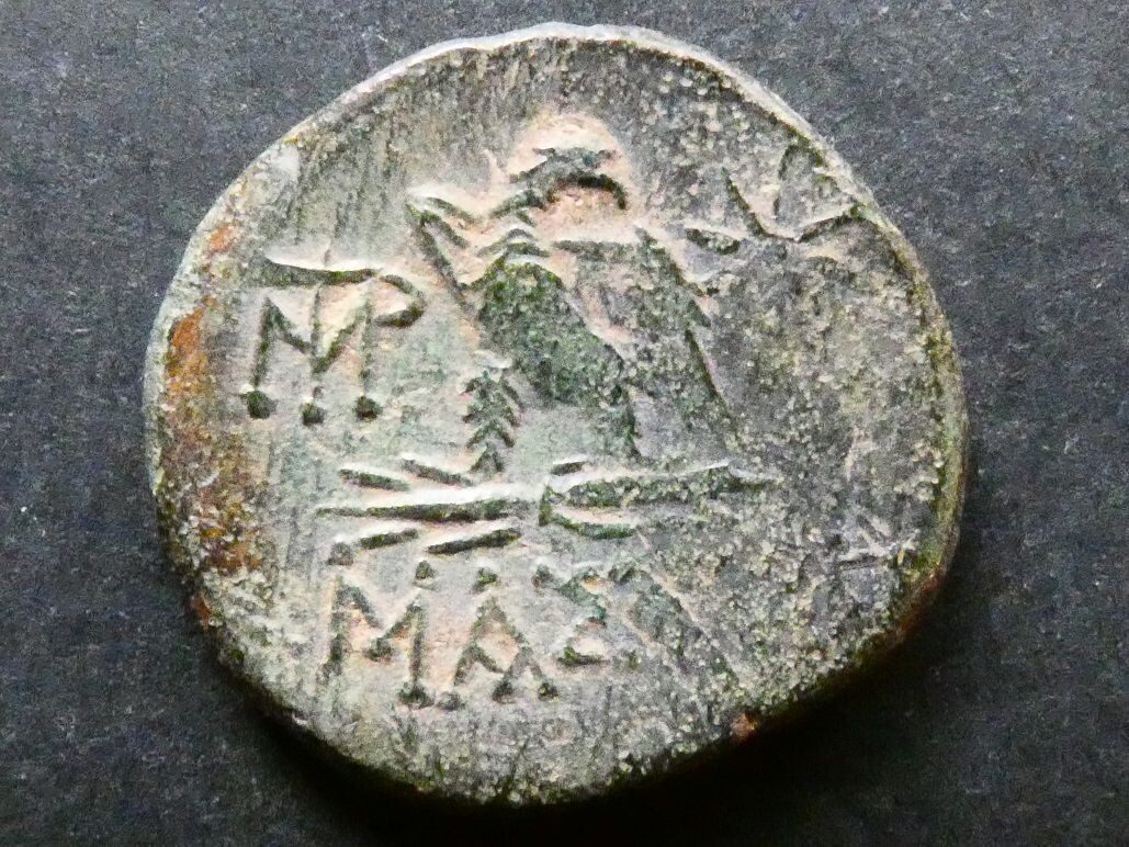 Asia Minor, Paphlagonia, Amastris, AE22, 95-90 BCE