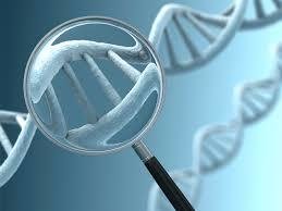 The Role of DNA Testing in Disease Prevention