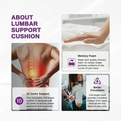 LPM LUMBAR SUPPORT CUSHION