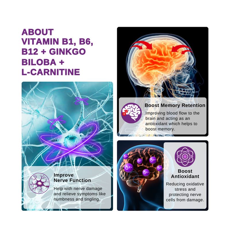 LPM VITAMIN B1, B6, B12 + GINKGO BILOBA + L-CARNITINE