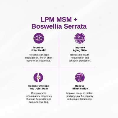 LPM MSM + BOSWELLIA SERRATA