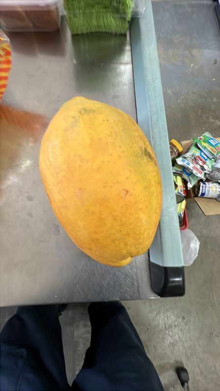 Papaya