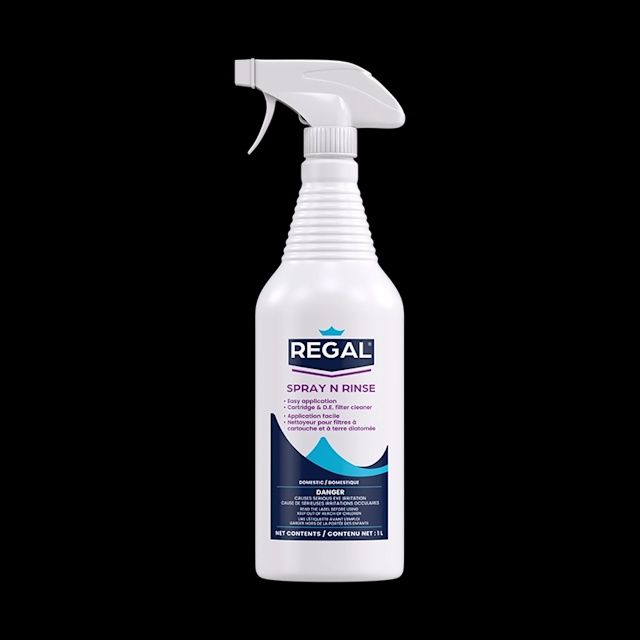 SPRAY N RINSE - CARTRIDGE/D.E. FILTER CLEANER