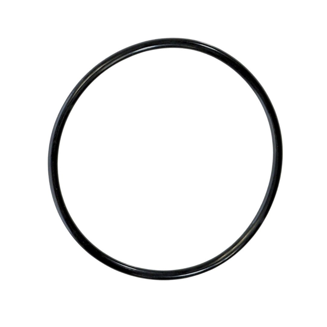 SwimClear Outlet Elbow O-Ring