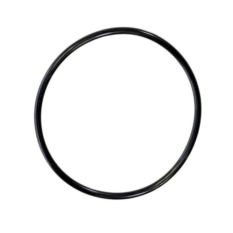 SwimClear Outlet Elbow O-Ring