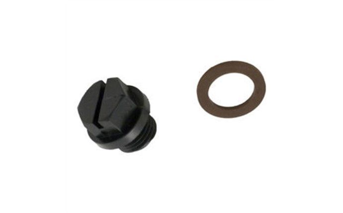 1/4" Drain Plug with Viton Gasket for CL200 and CL220 Chlorine Feeders