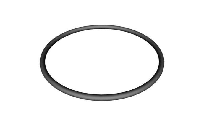 Strainer Cover O-Ring for Super II Pump