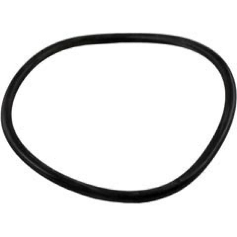 Lid O-Ring for FloPro FHPM Series Pumps