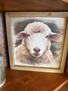 12x12 Picture