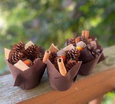Campfire Starter or Home Decor