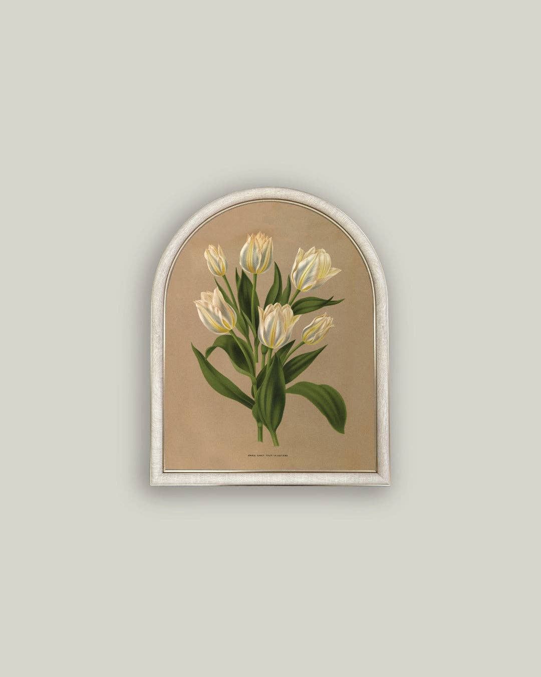 White Tulips Arch, Frame Size: 12x16