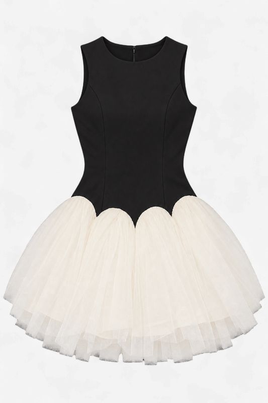 Paris After Dark Mini Dress