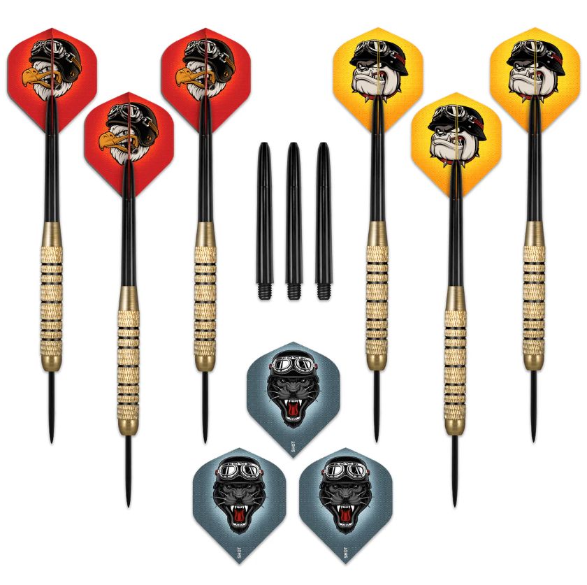 Duel Brass Steel Tip Dart Set 18gm