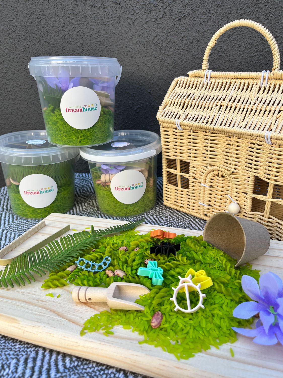 Insect sensory bin