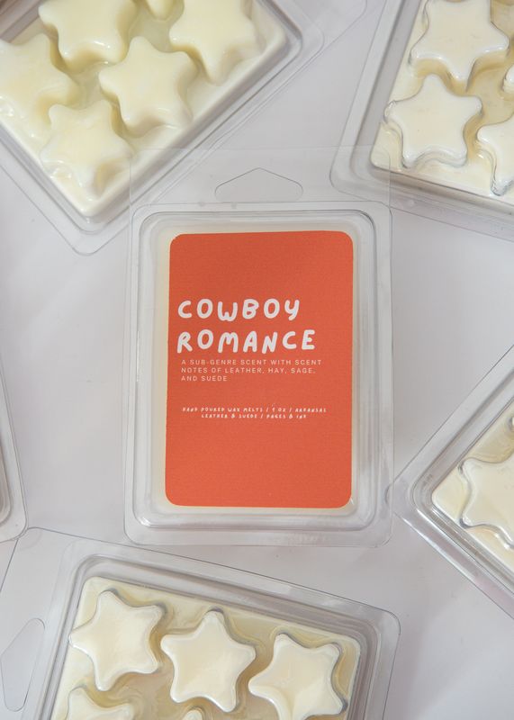 Cowboy Romance: Leather &amp; Suede Wax Melts