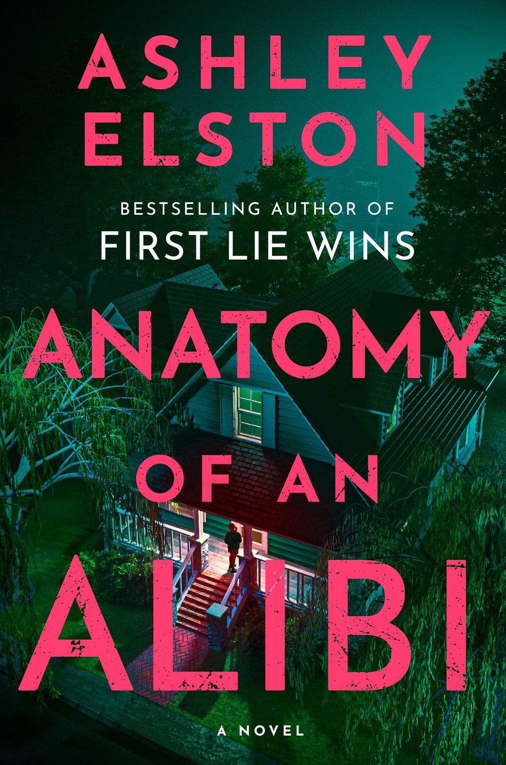Anatomy of an Alibi (Hardcover)