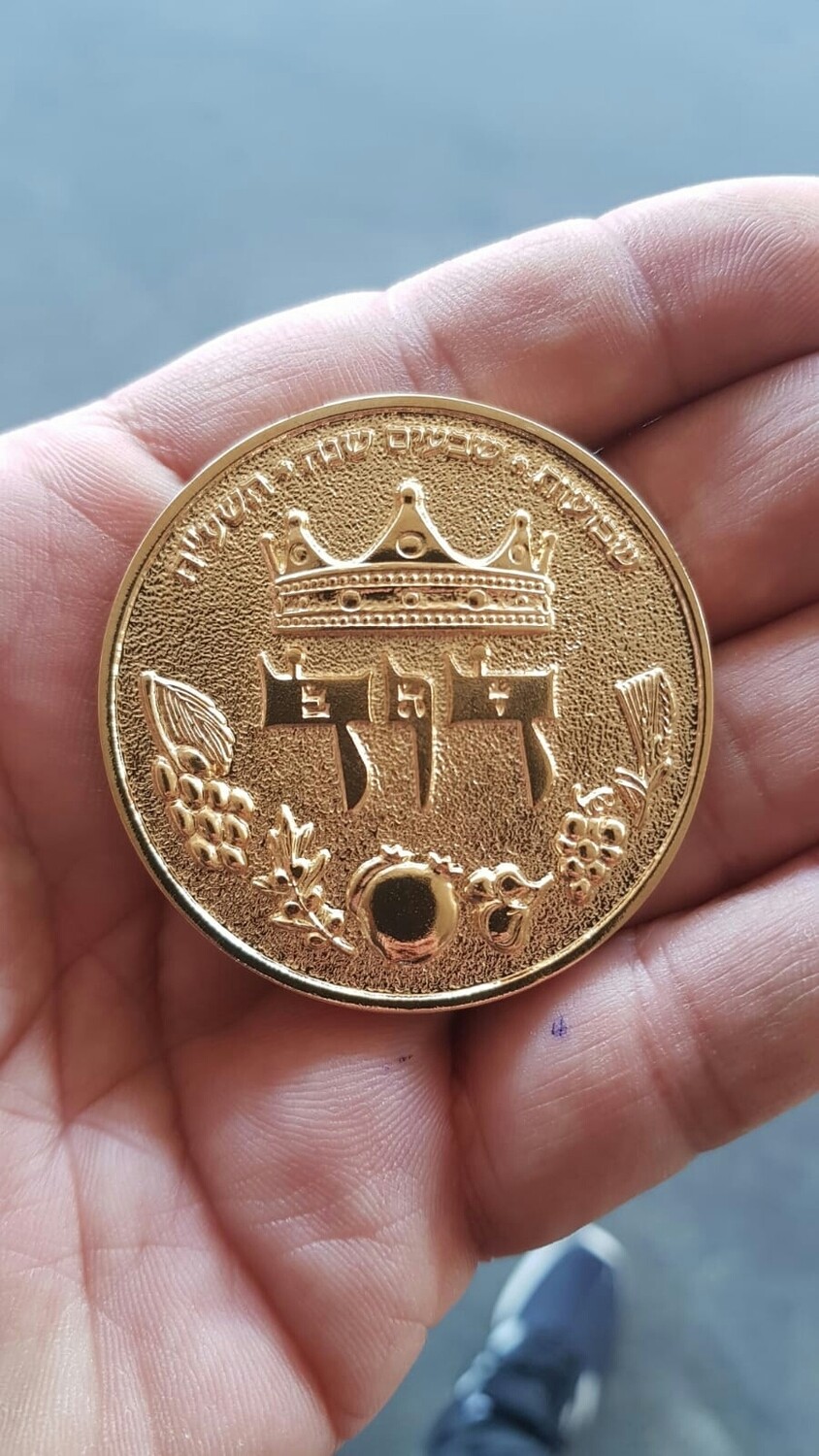 HALF SHEKEL KING DAVID COIN - gold plated