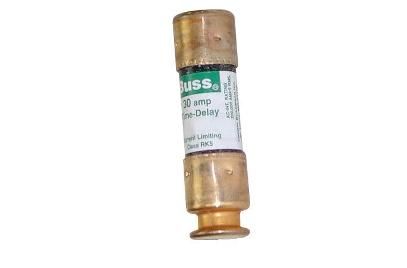 Dual Element Cartridge Fuse 30 Amp