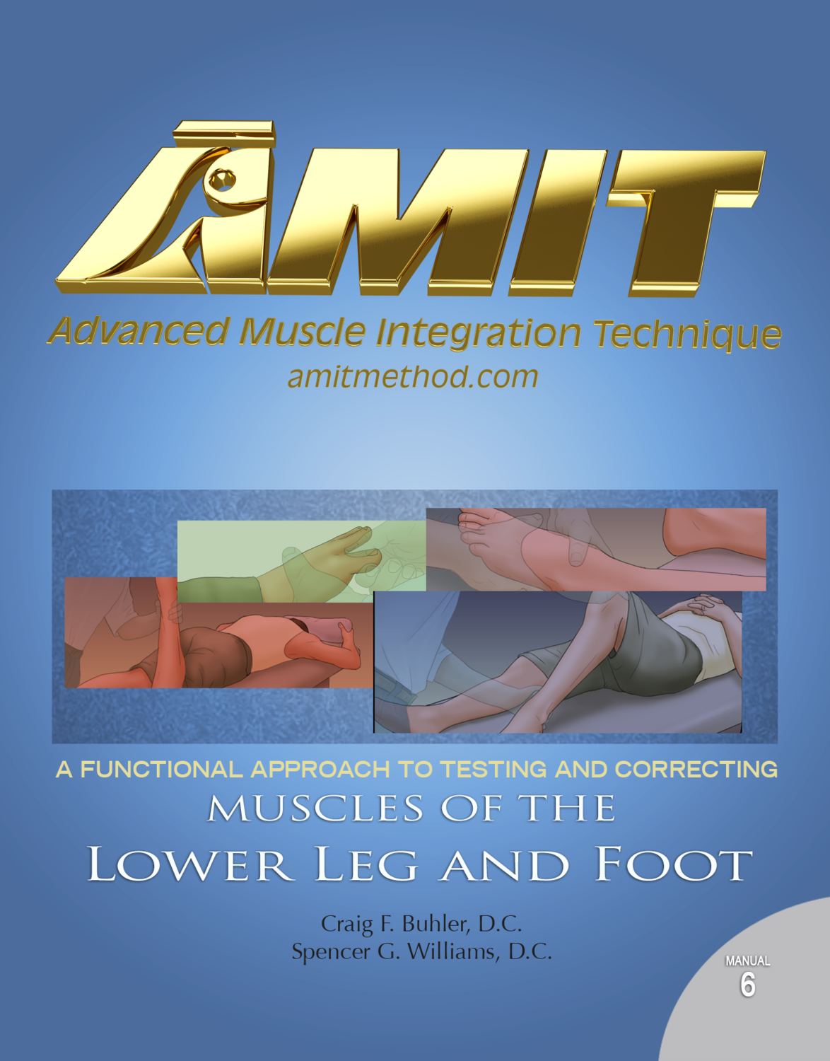 06 AMIT Lower Leg and Foot