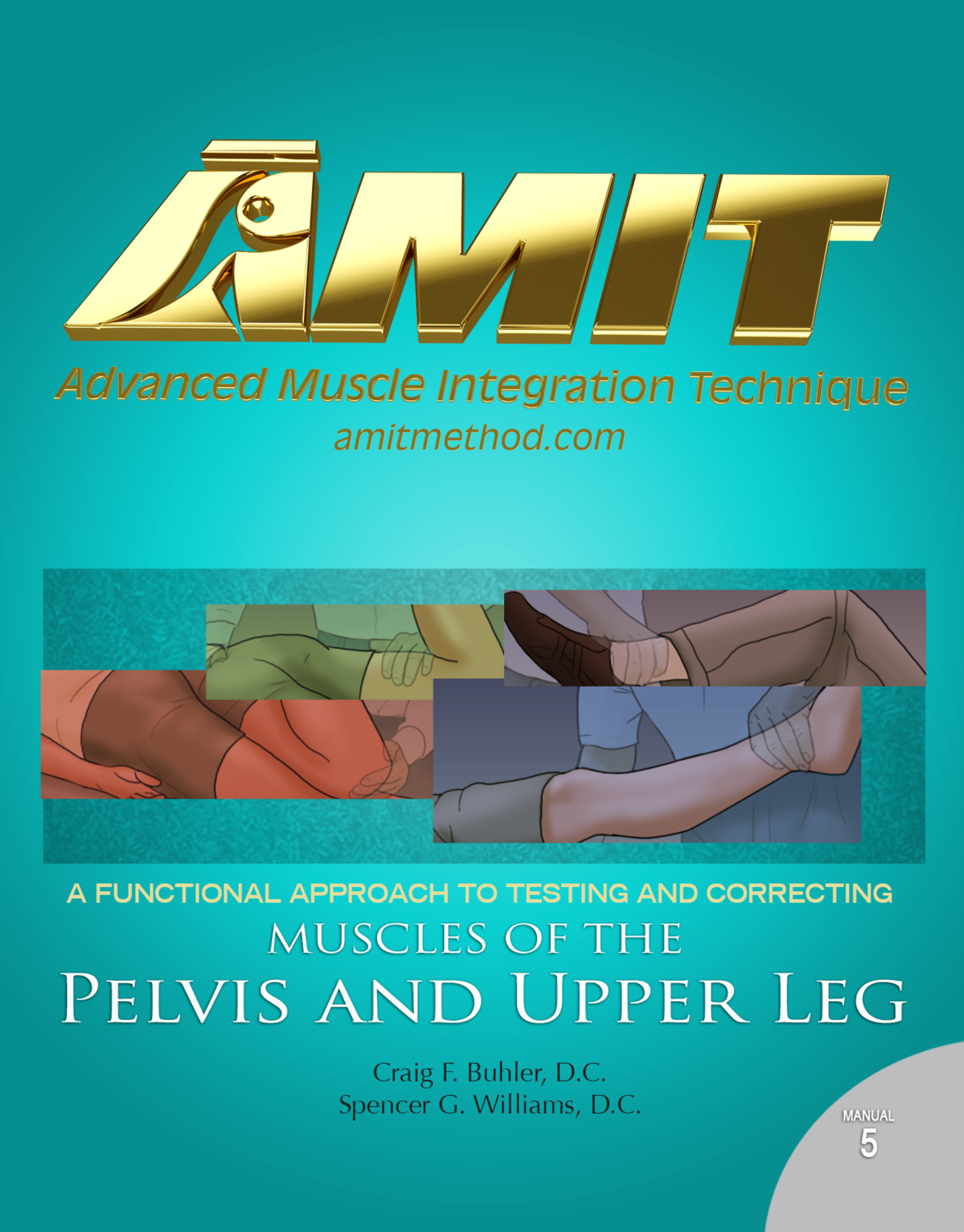 05 AMIT Pelvis and Upper Leg