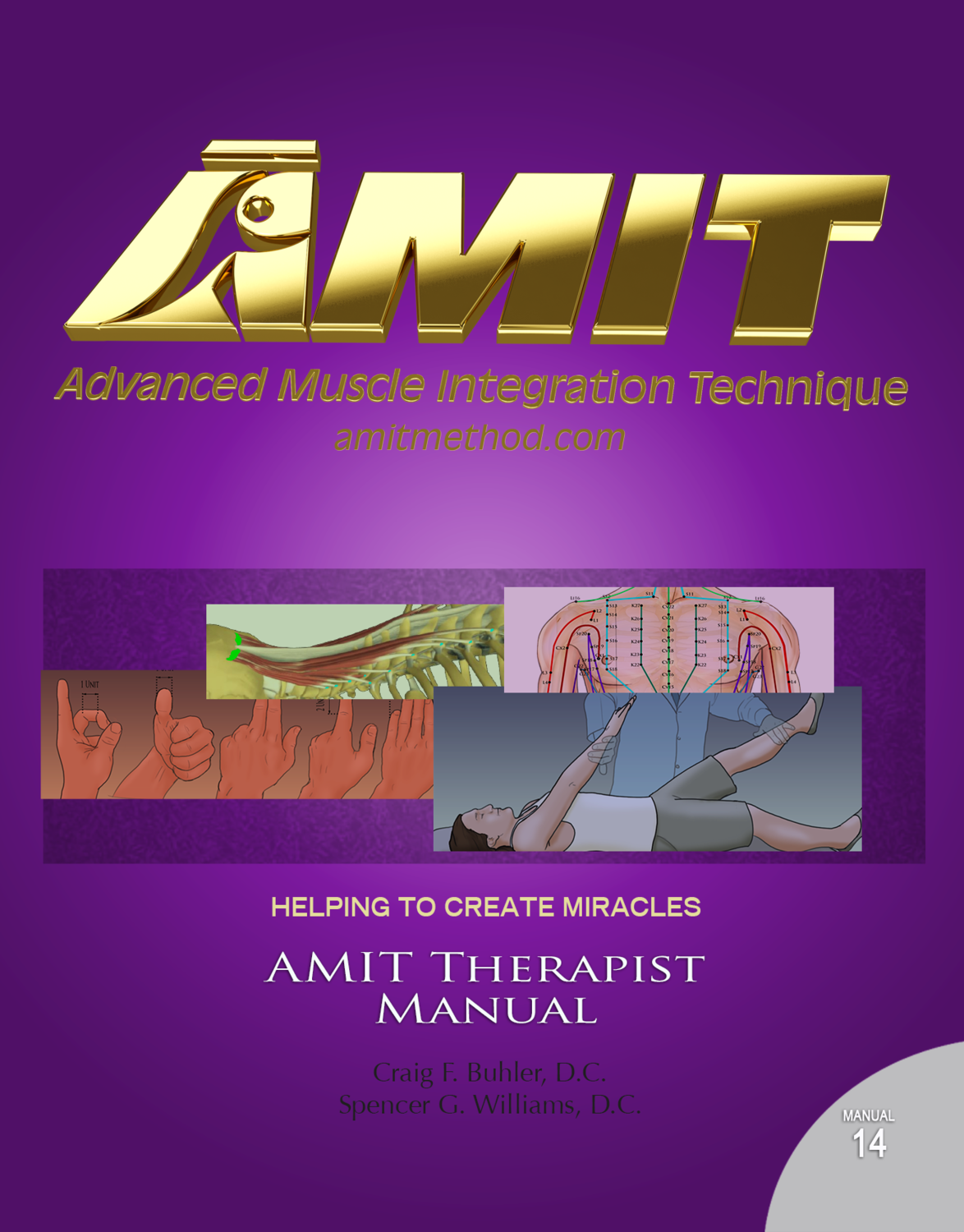 10 AMIT Therapist