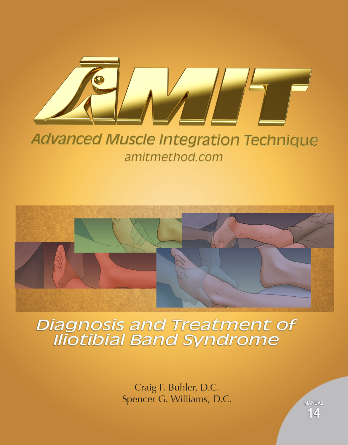 14 AMIT Iliotibial Band Syndrome