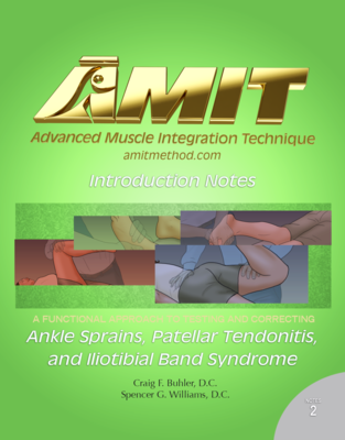 18 AMIT Introduction Ankle Sprain, IT Band, and Patellar Tendonitis