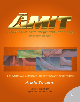 20 AMIT Ankle Sprains