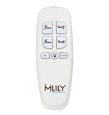 Mlily NP2W, Richmat NU200 or NU202U, Lady Americana, Or Lucid L300 200 Wireless Remote
