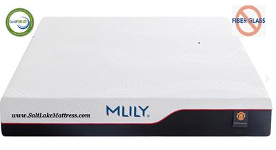 Mlily Mattress Dream 12" Mattress Only - AeroFusion Bamboo Charcoal Memory Foam - NO FIBERGLASS or Silica Glass Fiber Material! Free Shipping Mlily Mattress Dream 12" Mattress Only - AeroFusion Bamboo Charcoal Memory Foam - NO FIBERGLASS or Silica Glass Fiber Material! Free Shipping