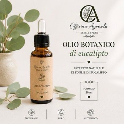 Olio Botanico all Eucalipto