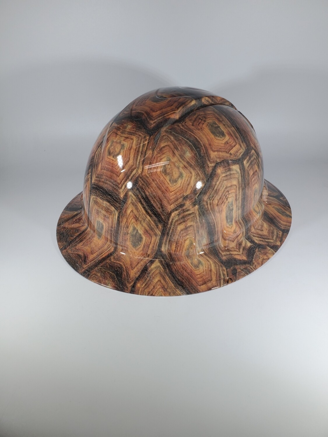 Tortoise shell