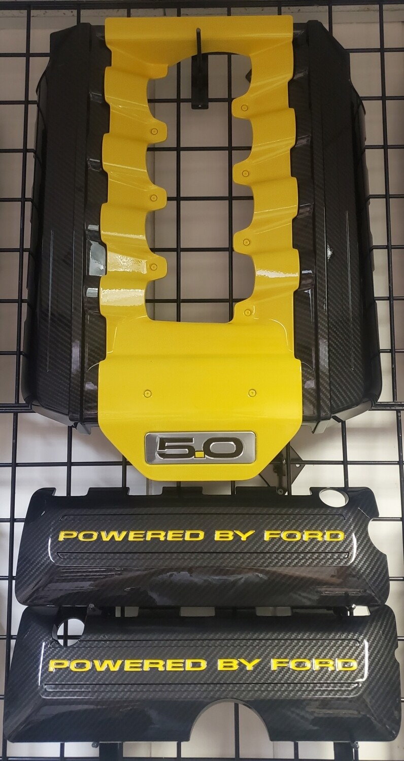 Mustang 3pc set carbon fiber