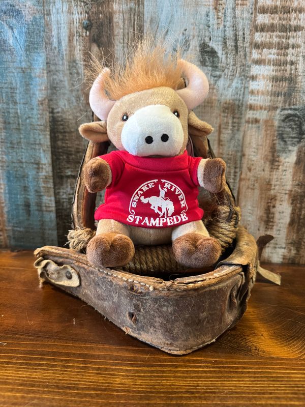 Rodeo Bull