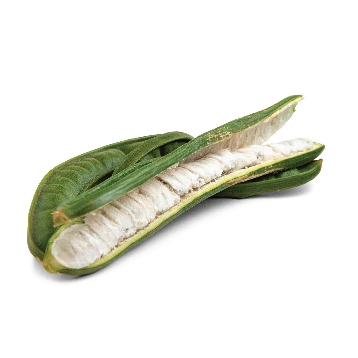 Ice Cream Bean (8 Oz.)