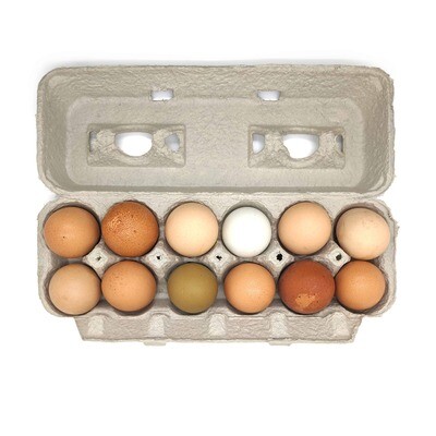 Eggs, Paradise Poultry - Large (1 Dozen)