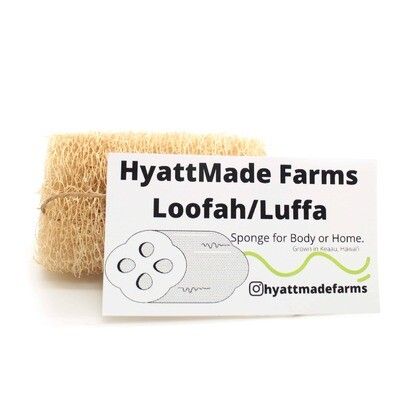 Hyatt Made Farm, Loofah Sponge