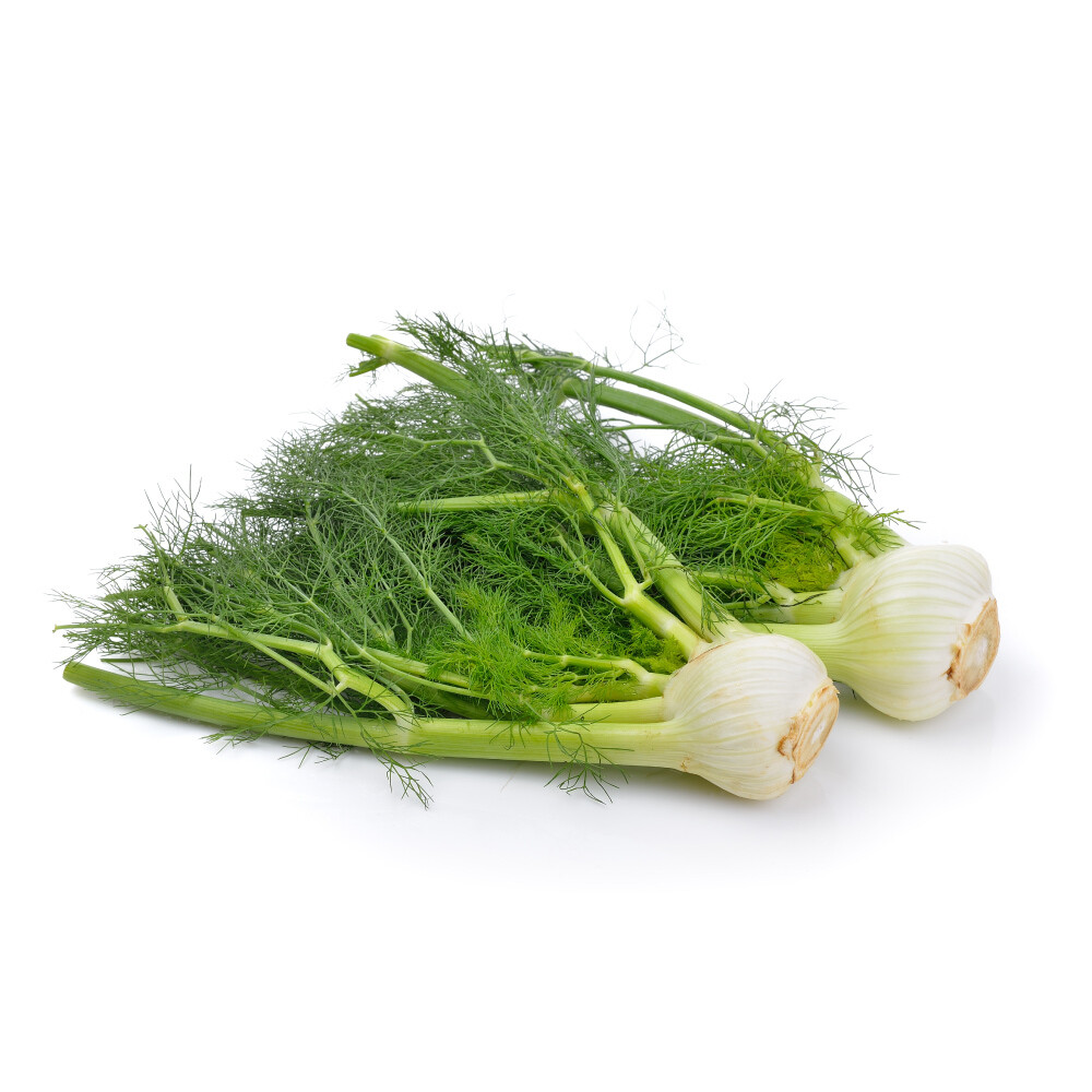 Fennel, With Tops (1 Lb.)