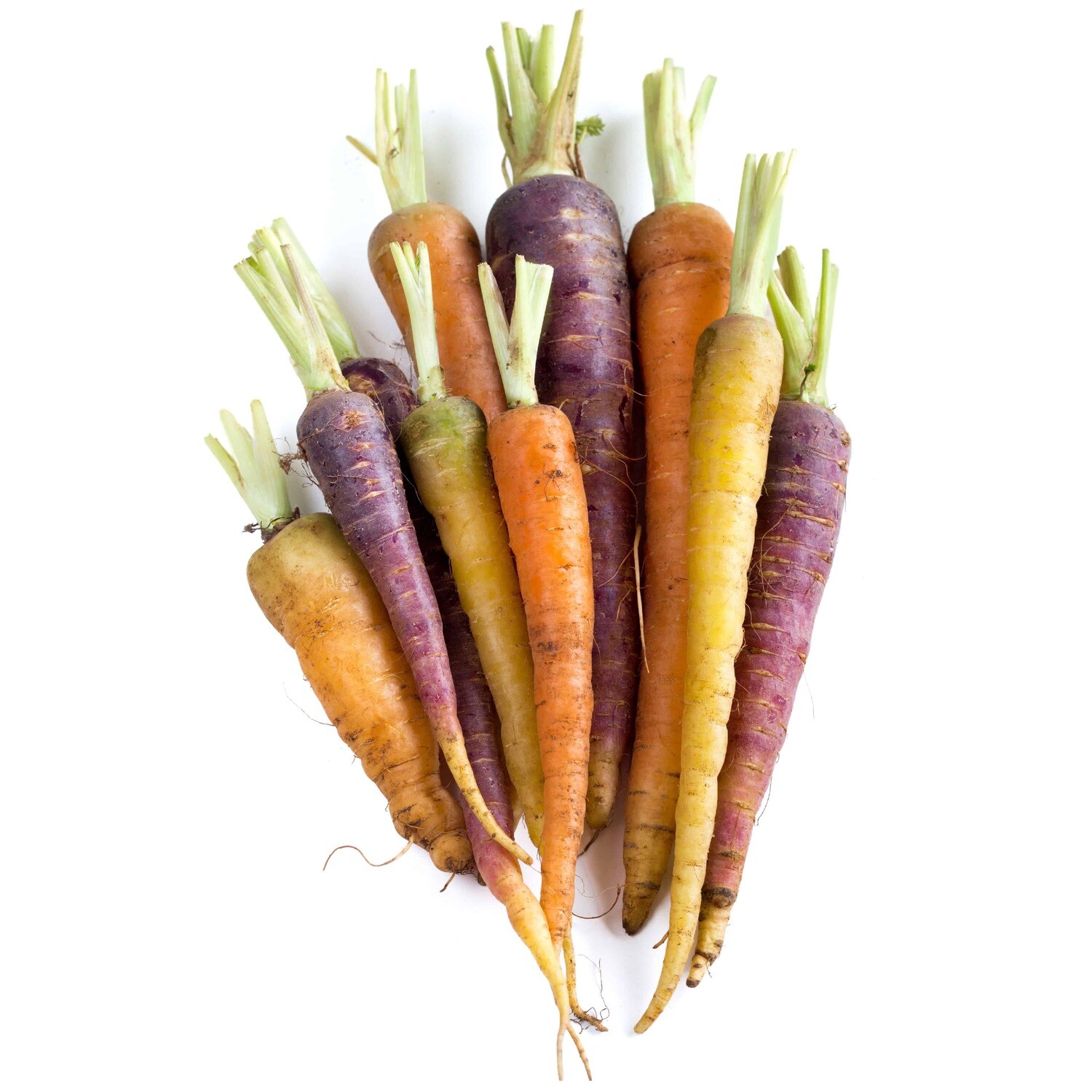 Carrots, Rainbow (1 Lb.)