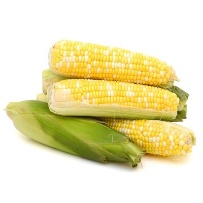 Corn, Sweet Yellow
